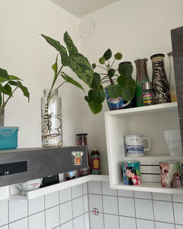 White corner shelving unit from @pxl_kste. Kitchen storage mixed with plants and colorful containers.