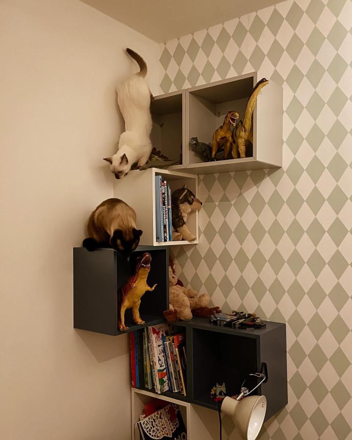 Staggered wall-mounted storage cubes from @larssons_katter. Cats climbing on mixed green and white cube shelves.