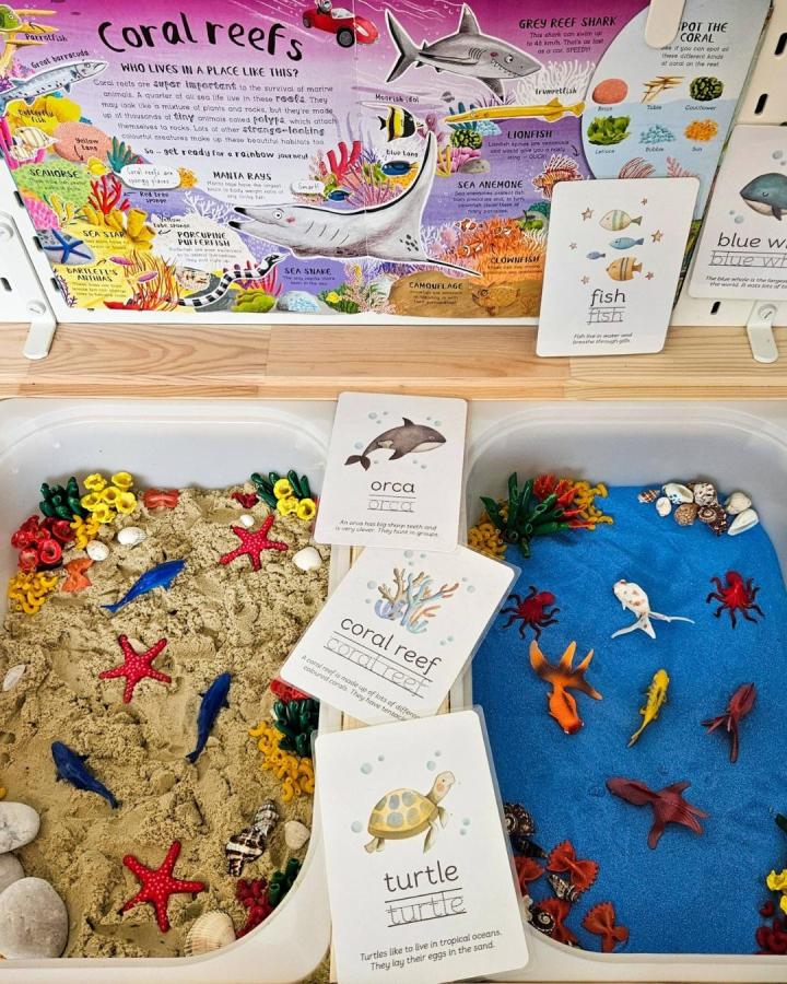 Colorful coral reef sensory play setup on Ikea Flisat table by Anna Wlodarczyk with marine life flashcards and textured sand
