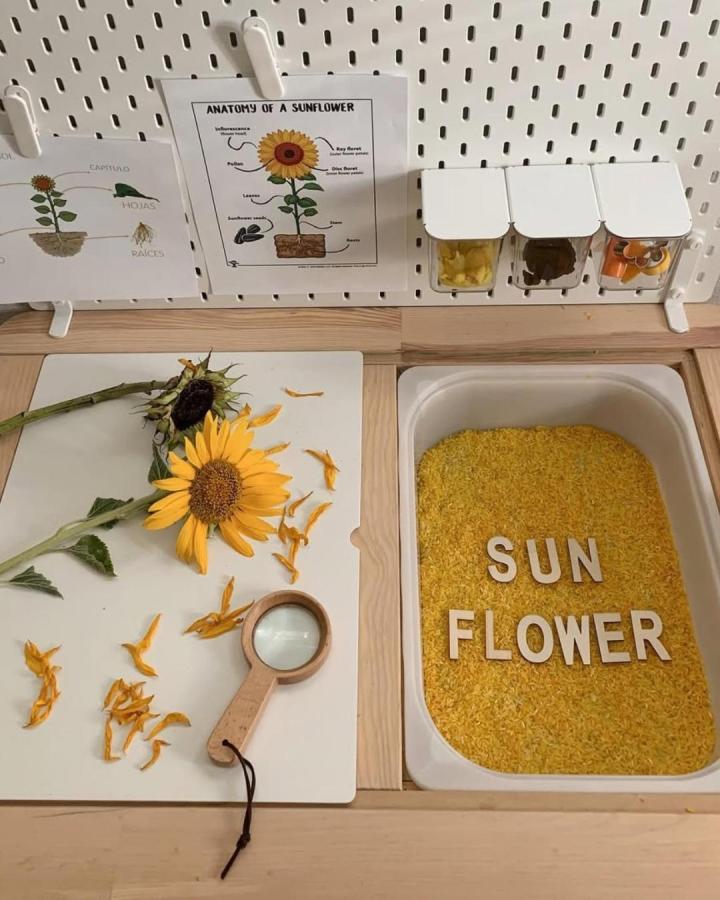Yellow sunflower sensory insert and pegboard storage on Ikea Flisat table from @raisingellie_and_ollie. Educational setup with natural wood and white accents.
