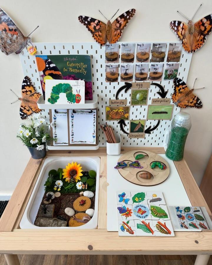 Natural wood and white Ikea Flisat table with butterfly life cycle educational display and pegboard by @louise.eyfs detailed interactive setup