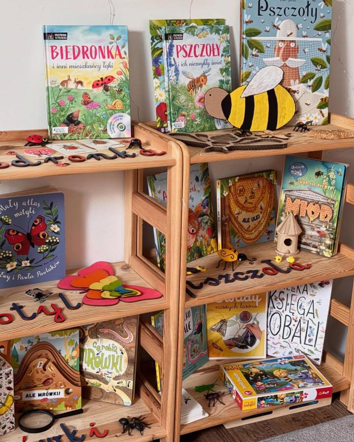 Natural pine wood kids book display with colorful insect toys from @pomyslowa_mama_tworzy ikea flisat table hacks & ideas