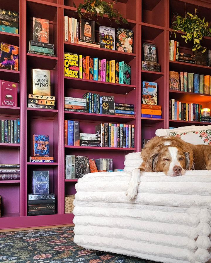 Berry painted Ikea Billy bookcases styled with books and plants by @cedar_hill_builder showcasing ikea billy bookcase styling. Vibrant cozy library corner.