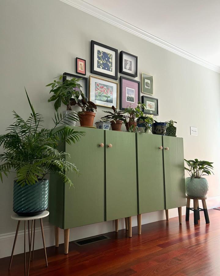 Sage green painted wooden cabinet with natural legs and potted plants by @sampadamarathe showing creative furniture transformation ideas.
