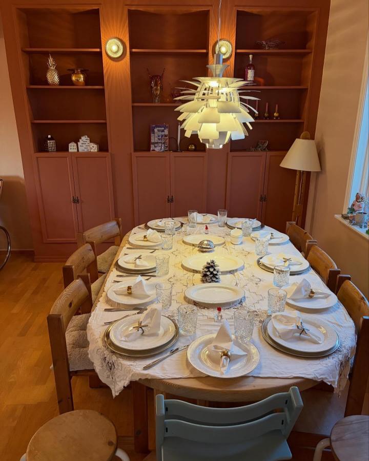 Terracotta matte painted wooden bookcase with closed lower cabinets in cozy dining room from @inakrist warm, stylish storage solution.
