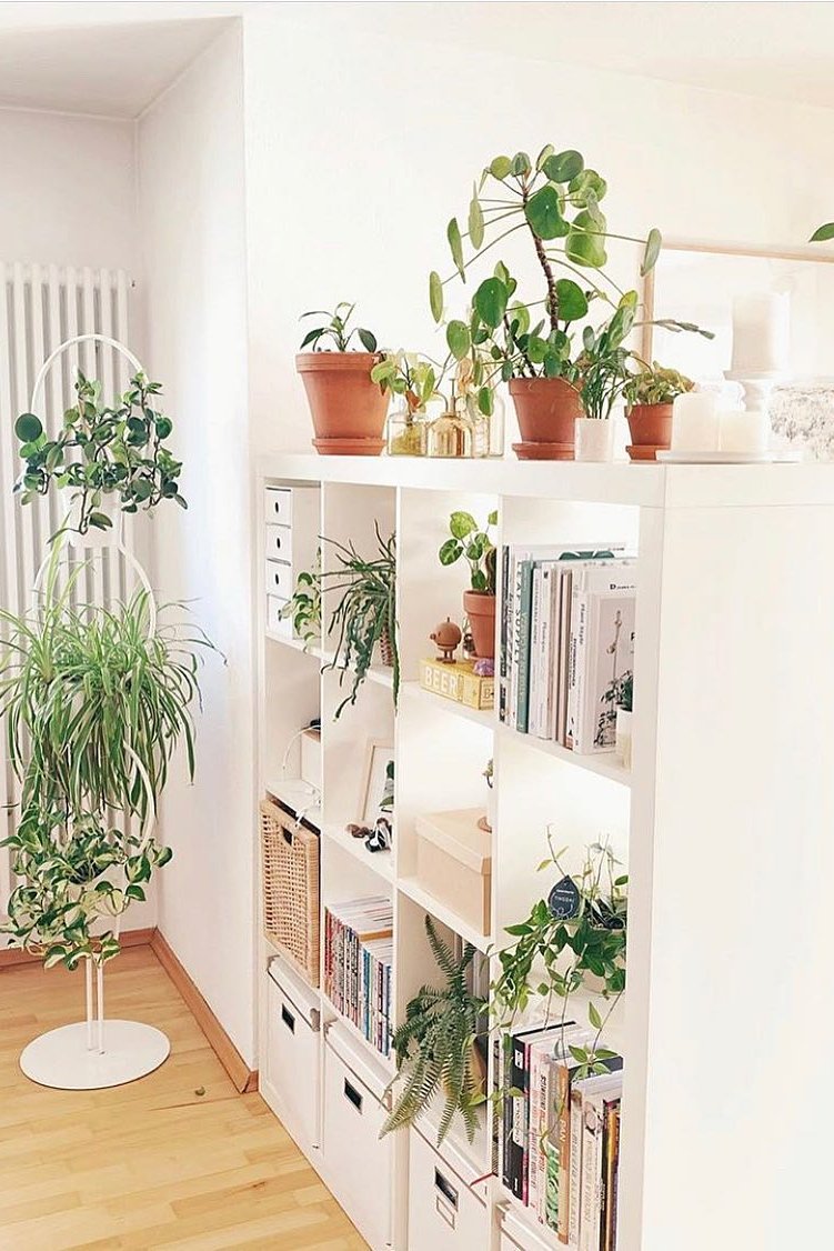 How to choose an ikea room divider with KALLAX shelving, plants, books, baskets, and décor
