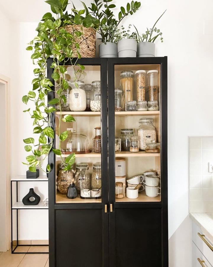 Black framed glass door pantry cabinet with natural wood shelves and green plants by @eviegregoriadou stylish kitchen storage idea.