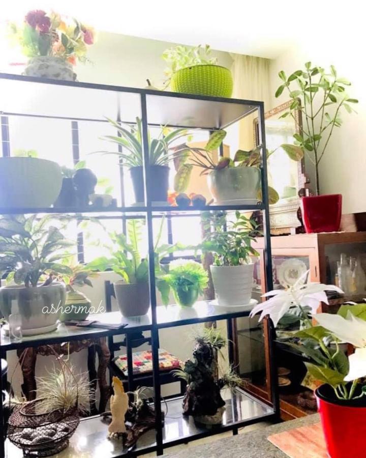 Black metal plant shelving from @peranakanjewelhome shows ikea room divider ideas for small spaces.